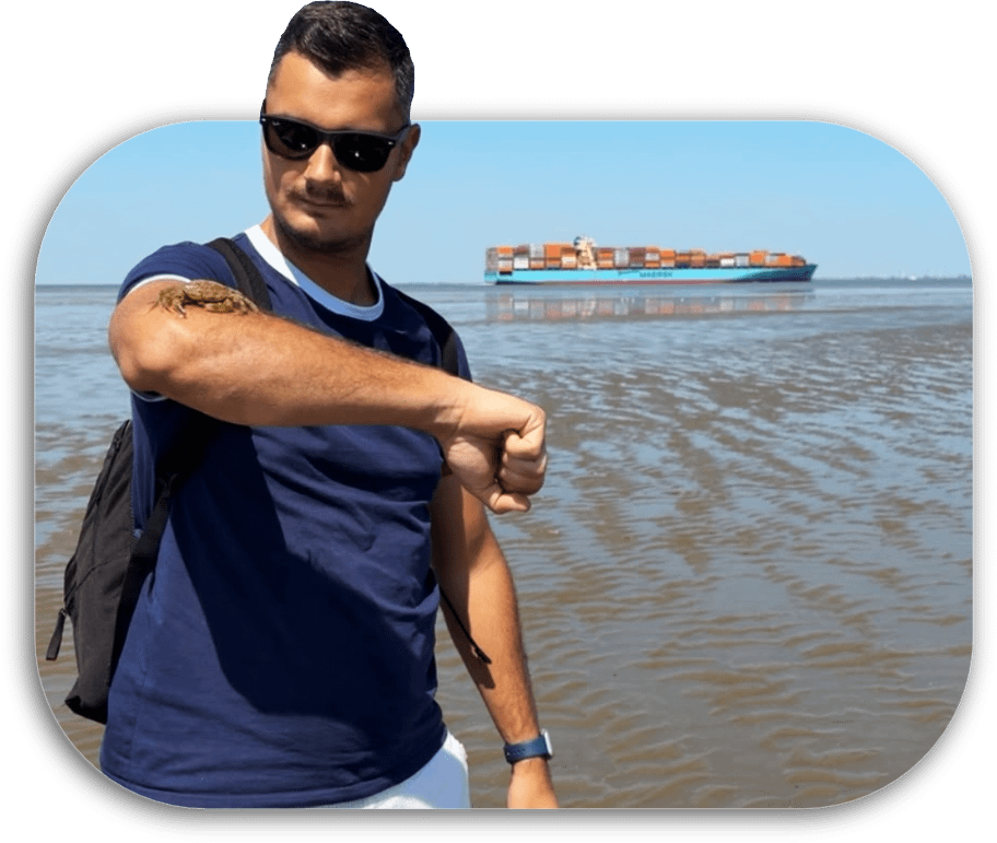 Niklas Grell, Ihr Ansprechpartner für Export-Shipping.
